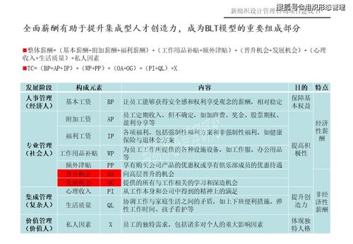 新组织设计管理咨询项目建议书 项目策划与公关服务
